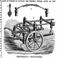 Picture 8 of 20 from Scientific American, Vol. 61, No. 5 (1889) (1889), leaf 4