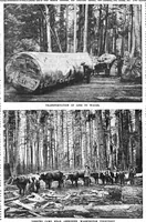 Picture 1 of 15 from Scientific American, Vol. 61, No. 8 (1889) (1889), leaf 0