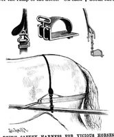 An illustration from Scientific American, Vol. 61, No. 8 (1889) (1889)