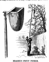 Picture 3 of 11 from Scientific American, Vol. 61, No. 12 (1889) (1889), leaf 3