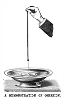 An illustration from Scientific American, Vol. 61, No. 23 (1889) (1889)