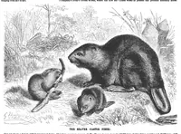 Picture 4 of 16 from Scientific American, Vol. 61, No. 24 (1889) (1889), leaf 4