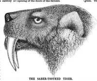 Picture 7 of 12 from Scientific American, Vol. 61, No. 25 (1889) (1889), leaf 7