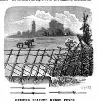 Picture 7 of 14 from Scientific American, Vol. 62, No. 9 (1890) (1890), leaf 5
