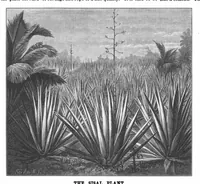 Picture 2 of 22 from Scientific American, Vol. 62, No. 10 (1890) (1890), leaf 3