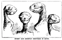 Picture 7 of 11 from Scientific American, Vol. 62, No. 11 (1890) (1890), leaf 8