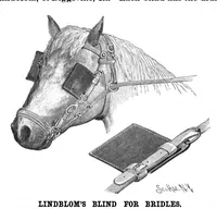 Picture 7 of 14 from Scientific American, Vol. 62, No. 13 (1890) (1890), leaf 5