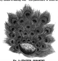 Picture 12 of 19 from Scientific American, Vol. 62, No. 25 (1890) (1890), leaf 10