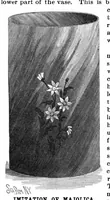 Picture 8 of 15 from Scientific American, Vol. 63, No. 1 (1890) (1890), leaf 6