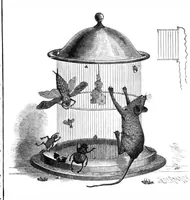 Picture 10 of 15 from Scientific American, Vol. 63, No. 1 (1890) (1890), leaf 8
