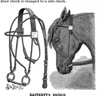 Picture 5 of 19 from Scientific American, Vol. 63, No. 3 (1890) (1890), leaf 4