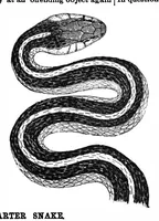 An illustration from Scientific American, Vol. 63, No. 7 (1890) (1890)