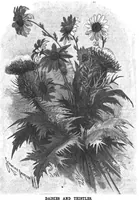 Picture 10 of 15 from Scientific American, Vol. 63, No. 12 (1890) (1890), leaf 8