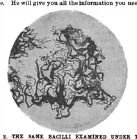 Picture 8 of 17 from Scientific American, Vol. 63, No. 23 (1890) (1890), leaf 7