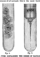 Picture 10 of 17 from Scientific American, Vol. 63, No. 23 (1890) (1890), leaf 8