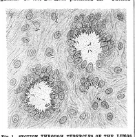 An illustration from Scientific American, Vol. 64, No. 1 (1891) (1891)