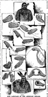 Picture 9 of 18 from Scientific American, Vol. 64, No. 2 (1891) (1891), leaf 8