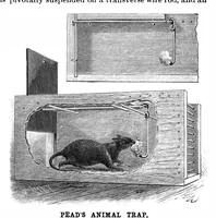 An illustration from Scientific American, Vol. 64, No. 3 (1891) (1891)