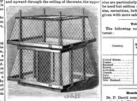 An illustration from Scientific American, Vol. 64, No. 6 (1891) (1891)