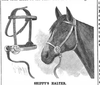 An illustration from Scientific American, Vol. 64, No. 6 (1891) (1891)