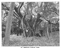 An illustration from Scientific American, Vol. 64, No. 9 (1891) (1891)