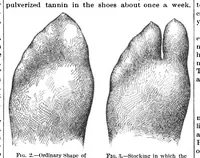 Picture 12 of 15 from Scientific American, Vol. 64, No. 12 (1891) (1891), leaf 10