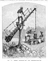 Picture 7 of 11 from Scientific American, Vol. 64, No. 20 (1891) (1891), leaf 8