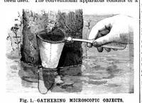 Picture 9 of 16 from Scientific American, Vol. 64, No. 25 (1891) (1891), leaf 8
