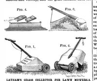 Picture 5 of 16 from Scientific American, Vol. 65, No. 1 (1891) (1891), leaf 5