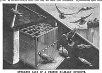 Picture 6 of 14 from Scientific American, Vol. 65, No. 2 (1891) (1891), leaf 7