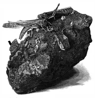 An illustration from Scientific American, Vol. 65, No. 4 (1891) (1891)