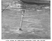 Picture 6 of 11 from Scientific American, Vol. 65, No. 5 (1891) (1891), leaf 7