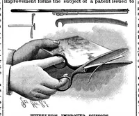 An illustration from Scientific American, Vol. 65, No. 7 (1891) (1891)