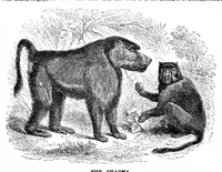 Picture 5 of 14 from Scientific American, Vol. 65, No. 24 (1891) (1891), leaf 4