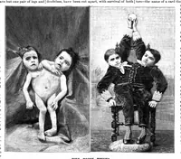 An illustration from Scientific American, Vol. 65, No. 24 (1891) (1891)