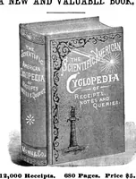 Picture 8 of 12 from Scientific American, Vol. 66, No. 5 (1892) (1892), leaf 13