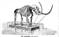 An illustration from Scientific American, Vol. 66, No. 5 (1892) (1892)