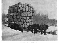 Picture 6 of 14 from Scientific American, Vol. 66, No. 18 (1892) (1892), leaf 8