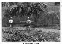 Picture 7 of 15 from Scientific American, Vol. 66, No. 23 (1892) (1892), leaf 8