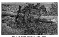 Picture 10 of 16 from Scientific American, Vol. 67, No. 4 (1892) (1892), leaf 8