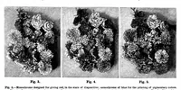 Picture 14 of 19 from Scientific American, Vol. 67, No. 5 (1892) (1892), leaf 10