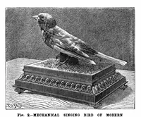 Picture 9 of 19 from Scientific American, Vol. 67, No. 5 (1892) (1892), leaf 7