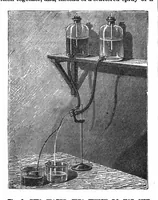 An illustration from Scientific American, Vol. 67, No. 7 (1892) (1892)