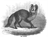 An illustration from Scientific American, Vol. 67, No. 11 (1892) (1892)