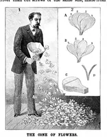 Picture 5 of 17 from Scientific American, Vol. 67, No. 12 (1892) (1892), leaf 4