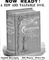 An illustration from Scientific American, Vol. 67, No. 19 (1892) (1892)