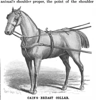 Picture 4 of 18 from Scientific American, Vol. 67, No. 25 (1892) (1892), leaf 3