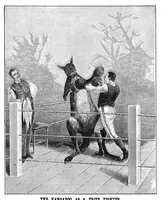 Picture 9 of 20 from Scientific American, Vol. 68, No. 2 (1893) (1893), leaf 8