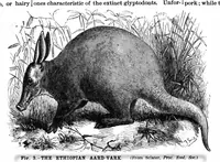 An illustration from Scientific American, Vol. 68, No. 5 (1893) (1893)