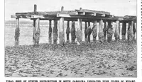 Picture 8 of 17 from Scientific American, Vol. 68, No. 8 (1893) (1893), leaf 8